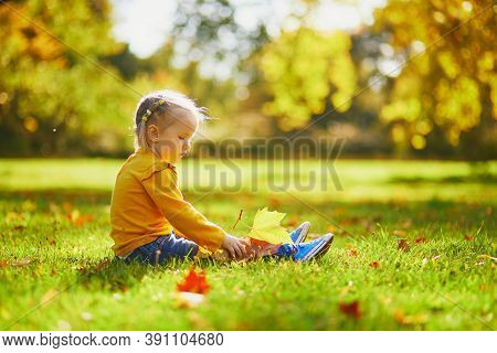 Adorable Toddler Girl Sitting On The Ground And Playing With Sticks And Yellow Fallen Leaves In Autu
