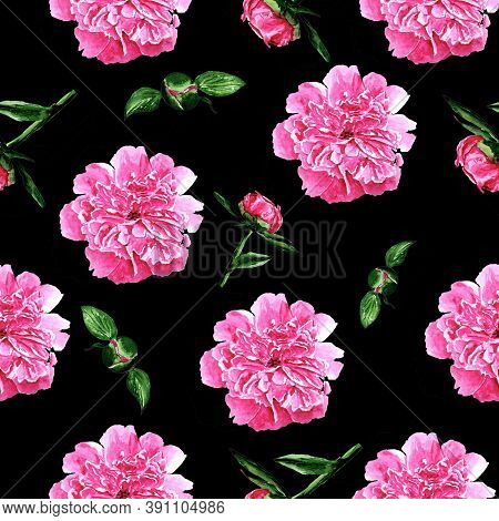 Pattern With Peonies Pink Peonies On A Black Background Peonies In Watercolor