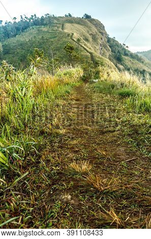 Trail Leading To The Summit The Phulungka In Thailand