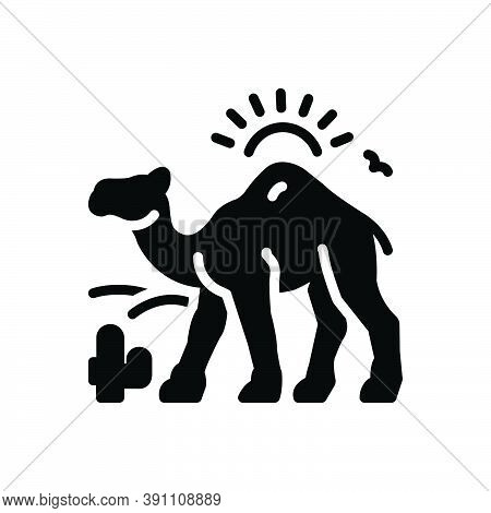 Black Solid Icon For Camel-in-desert-with-sun Camel Desert Dune Landscape Natural Journey Sand Cactu