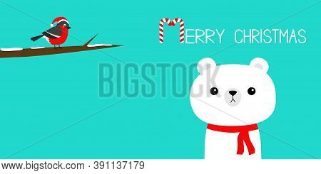 Merry Christmas. Candy Cane. White Polar Bear In Red Scarf. Bulfinch Bird On Tree Brunch. Hello Wint