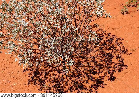 Red Center In The Australian Desert, Outback In Northern Territory, Australia