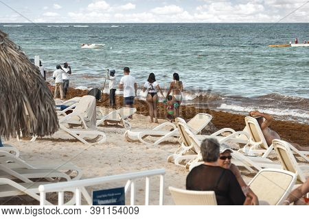 Punta Cana, Dominican Republic - December 14, 2019 - Arena Gorda Beach Covered With Sargassum Algae