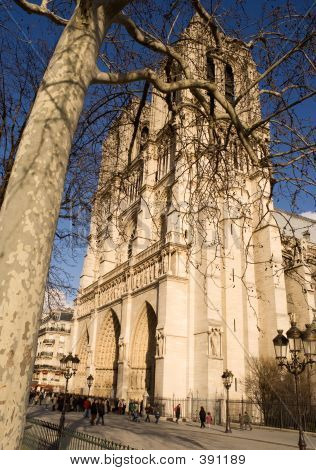 Katedrála Notre-dame