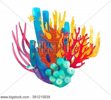 Hand Drawn Underwater Sea Life Decorative Composition. Beautiful Watercolor Bright Red, Blue And Yel