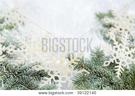 schneebedeckte Zweige der Fichte