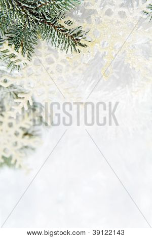 Schneebedeckten Zweige der Fichte