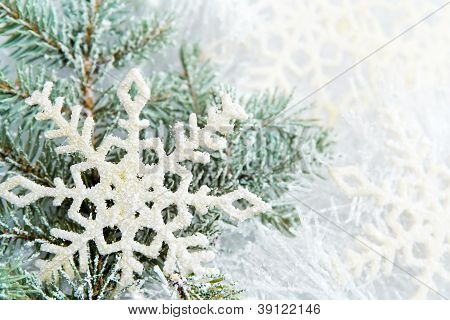 schneebedeckte Zweige der Fichte