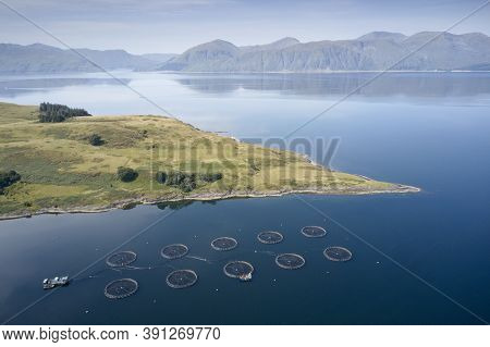 Fish Farm Salmon Round Nets In Natural Environment Loch Awe Arygll And Bute Scotland