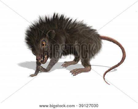 Lodne Mutant rotte