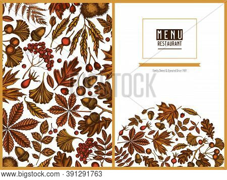 Menu Cover Design With Colored Fern, Dog Rose, Rowan, Ginkgo, Maple, Oak, Horse Chestnut, Chestnut H