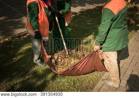 Autumn Work In The Park. Cleaning Of Fallen Leaves. The Workers Collect Leaves In Heaps And Prepare