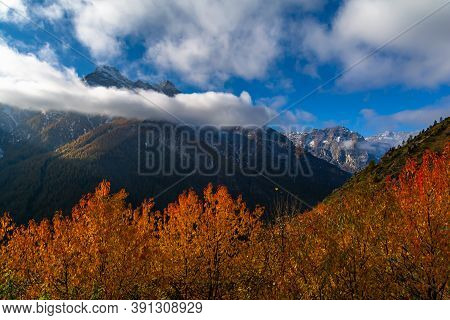 Between The Pelvo D\'elva And The Imposing Monviso Wall, The Bellino Valley Has Remained Untouched B