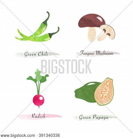 Watercolor Healthy Nature Organic Plant Vegetable Food Ingredient Green Chili Fungous Mushroom Radis