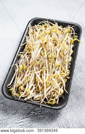 Bean Sprout In Black Plastic Container. White Background. Top View