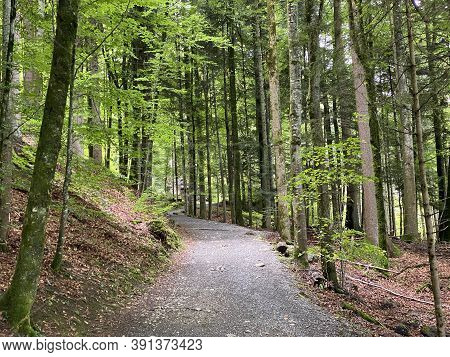 Trails For Walking, Hiking, Sports And Recreation Along The Waterfalls Giessbach Falls And In The Cr