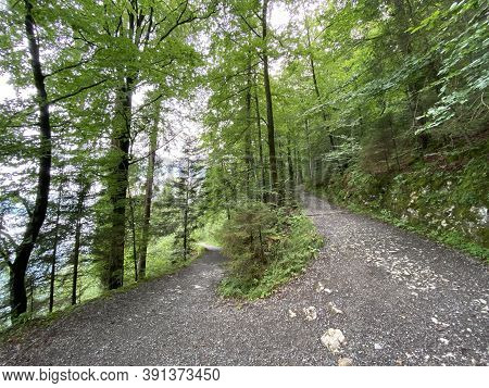 Trails For Walking, Hiking, Sports And Recreation Along The Waterfalls Giessbach Falls And In The Cr