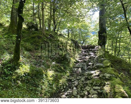 Trails For Walking, Hiking, Sports And Recreation Along The Waterfalls Giessbach Falls And In The Cr