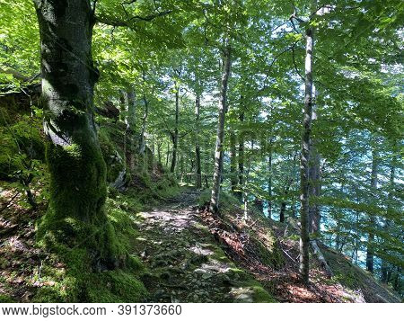 Trails For Walking, Hiking, Sports And Recreation Along The Waterfalls Giessbach Falls And In The Cr