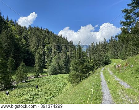 Trails For Walking, Hiking, Sports And Recreation Along The Waterfalls Giessbach Falls And In The Cr