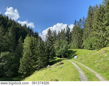 Trails For Walking, Hiking, Sports And Recreation Along The Waterfalls Giessbach Falls And In The Cr