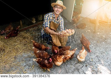 Farmers Are Smiling, Happy By Collecting Many Fresh Eggs, Which Is A Product From The Hens In The Fa
