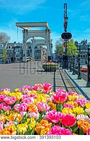 Tiny bridge in Amsterdam the Netherlands in springtime