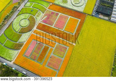 Daxi, Taiwan - November 14th, 2019: aerial view of garden in Daxi event of Taoyuan Flower Festival in Taoyuan, Taiwan, Asia