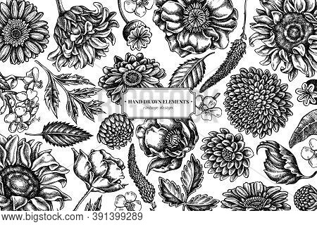 Floral Design With Black And White Poppy Flower, Gerbera, Sunflower, Milkweed, Dahlia, Veronica Stoc
