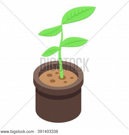 Indoor Plant Pot Icon. Isometric Of Indoor Plant Pot Vector Icon For Web Design Isolated On White Ba