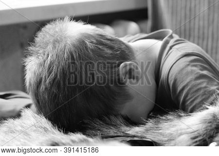 The Boy Has Fallen Asleep On A Desk, Black And White