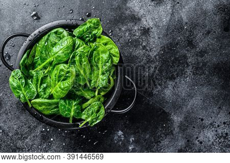 Young Raw Spinach In A Colander. Black Background. Top View. Copy Space