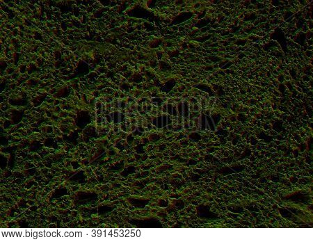 An Abstract Moss Lichen Texture Background, Plant