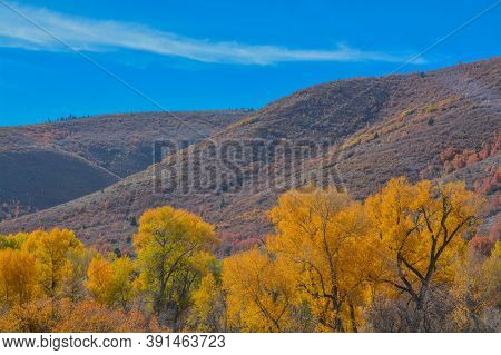 Beautiful Colors Of The Autumn Leaves In The Mountain Range Of Henefer, Utah