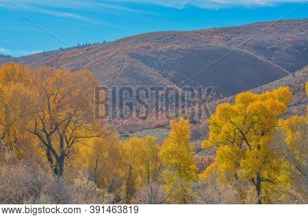 Beautiful Colors Of The Autumn Leaves In The Mountain Range Of Henefer, Utah