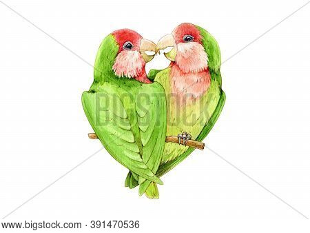 Lovebird Parrot Watercolor Illustration. Beautiful Couple Of Exotic Birds Sharing Love. Green Loving