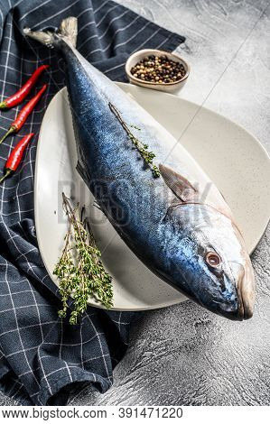 One Piece Of Japanese Amberjack. Raw Fish Yellowtail. Gray Background. Top View