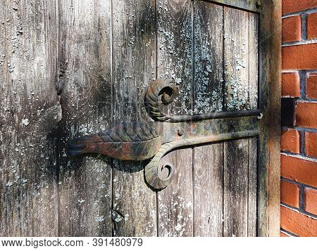 Aged Shutters Door Board With Iron Decorated Hinges. Old Door Boards Overgrown With Moss, Close Up.