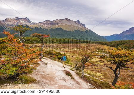 Autumn season in Patagonia mountains, South America, Argentina