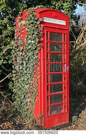 Red British Disused Telephone Box In Rural Location Repurposed As A Community Library With Ivy, Hede