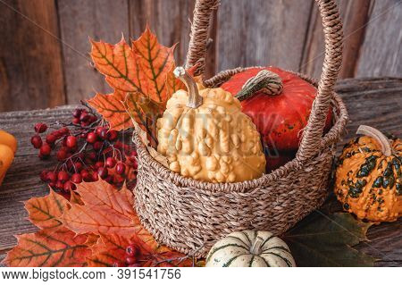 Autumn Nature Concept. Dogberry, Pumpkinsin A Basket, Colorful Leaves On A Wooden Table.