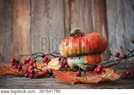 Autumn Nature Concept. Fall Seeds, Dogberry, Leaves And Pumpkin On A Wooden Table.