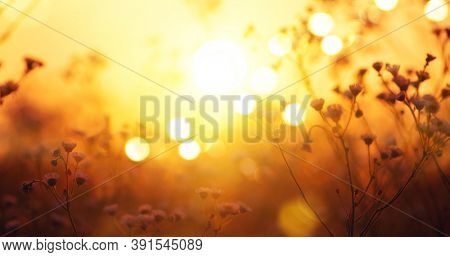 Autumn abstract nature backgtound, fall backdrop