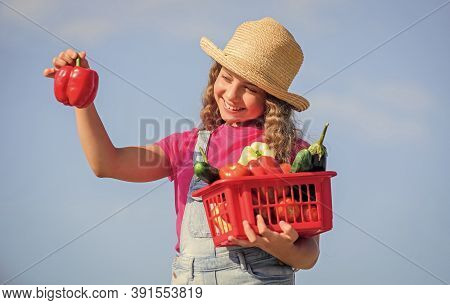 Food Presentation. Harvest Vitamin. Spring Market Garden. Healthy Food For Children. Little Girl Veg