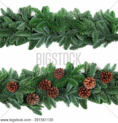 Christmas Border Frame Of Natural Noble Fir Tree Branches And Cones Isolated On White Background
