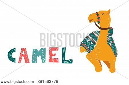 Camel Cartoon Vector Illustration On White. Decorated Camel With Seat For A Ride.