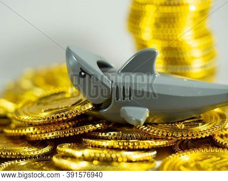 Photograph Taken On October 26, 2020 In France.
A Shark's World In A Silver World.