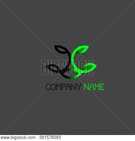 Logo For Health Clinic With Simple Leaf Symbol