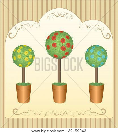drie ronde boom bloem