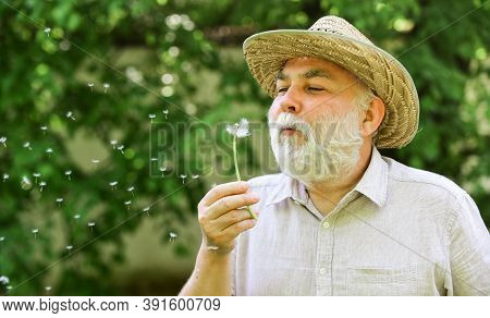 Harmony Of Soul. Peaceful Grandpa Blowing Dandelion. Happy And Carefree Retirement. Elderly Man In S